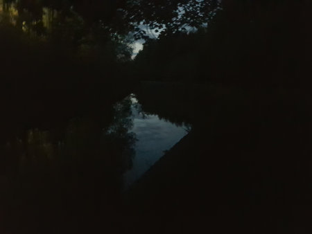 Reflection of trees in the river at night. Nature background.の写真素材