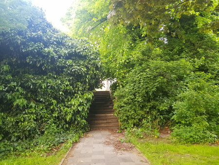 Beautiful view of stairs in town with green trees in summer