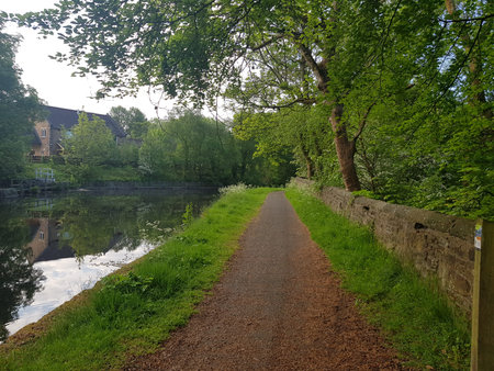 Towpath on the bank of the canal in summer.