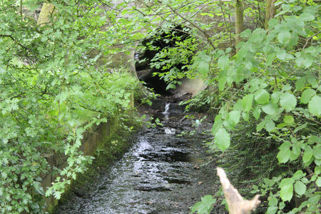 A small stream flows through the woods in an English park on a beautiful summer day framed by...