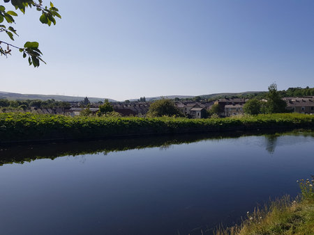 Picturesque landscape in the summer from the side of the canal on a beautiful morning.