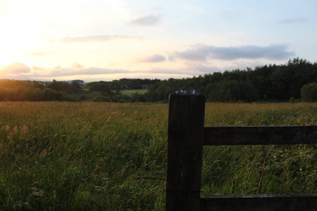 Wooden fence post in front of the meadow on a beautiful summer morning in the English countryside as...