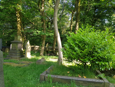 Sunlit view of a church graveyard on a bright summer morning, beauty of nature background.の写真素材