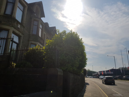 Summer sun blazing down on a beautiful day with houses and foliage by the roadside.の写真素材