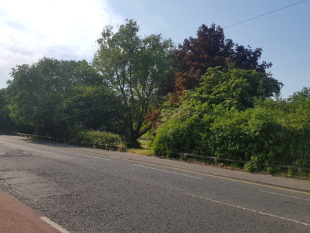 Beautifully coloured foliage lining the road on a bright summer morning at the edge of town.の写真素材