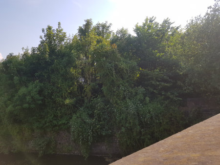 Trees and flowering bushes on the old stone wall lining the canal on a beautiful summer's day.の写真素材