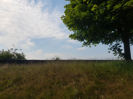 Beautiful summer landscape with grass on the hillside under a bright blue sky with white clouds.の写真素材
