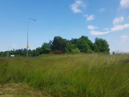 Grassland lining a road in the English countryside with the sunlit scenery sitting below a beautifully blue summer sky.の写真素材