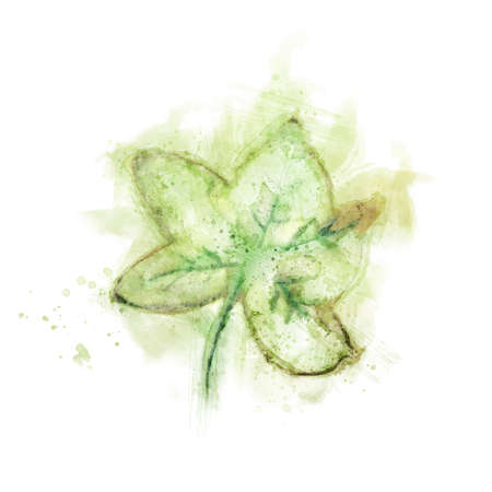 Green leaf in watercolorの写真素材