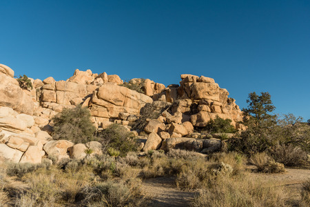 Joshua Tree National Park in winter, Southern Californiaの写真素材