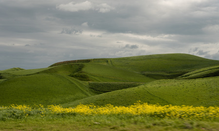 Rolling hills of Northern Californiaの写真素材