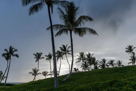 Beautiful Oahu vista at sunset, Hawaiiの写真素材