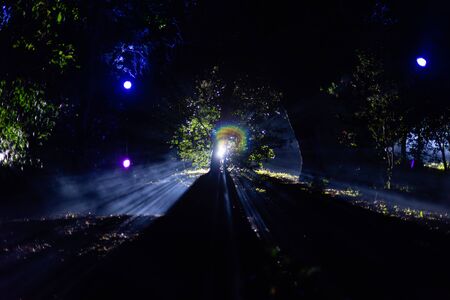 Enchanted forest of light - spooky light illuminating the mist at nightの写真素材