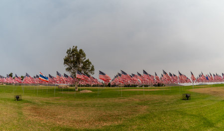 Flags at the 9/11 Memorial at the Southern California university campus