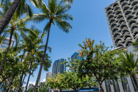 Scenic Waikiki Beach street vista, Honolulu, Oahu, Hawaiiの写真素材