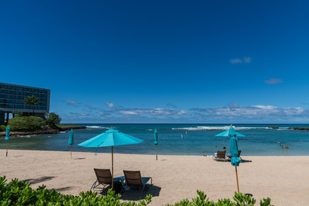 Scenic Turtle Beach vista at the north shore of Oahu, Hawaiiのeditorial素材