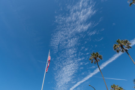 American flag and palm trees under beautiful Southern California sky near Balboa Pier in Newport Beach, Orange Countyの写真素材