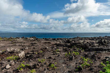 Beautiful Kapalua Coastal Trail vista on Maui, Hawaii, with Molokai Island visible at a distanceの写真素材