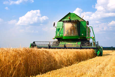 combine harvester working on a wheat fieldのeditorial素材