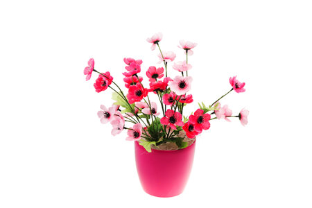 artificial flowers in a pot isolated on white backgroundの写真素材