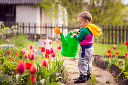 cute little boy watering flowers watering canの写真素材