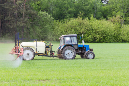 agricultural machine fertilizes a green field in springの写真素材