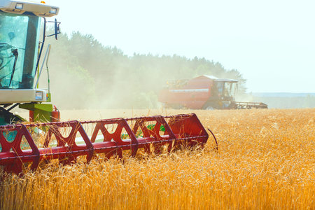combine harvester working on a wheat fieldの写真素材