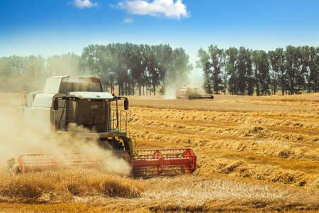 combine harvester working on a wheat fieldの写真素材