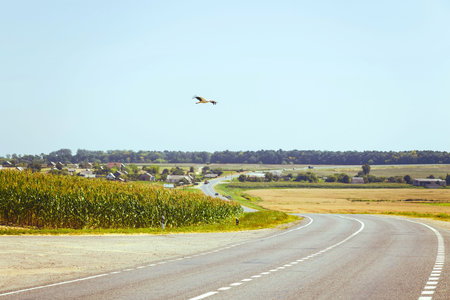View on asphalt road in countryside. Belarus.の写真素材
