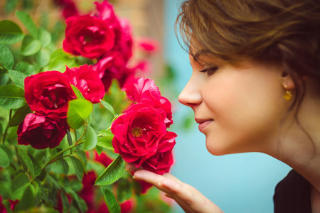 Beautiful woman smelling red roses in garden .の写真素材