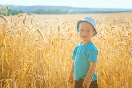 Happy little boy having fun in wheat field in summerの写真素材