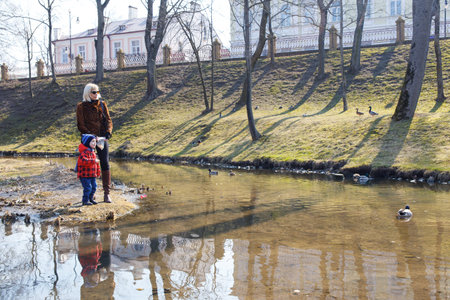 Mother and a child feeding birds in the park pondの写真素材
