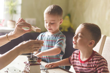 Twin brothers helping her mother to grind coffee in the kitchen in the morning.の写真素材