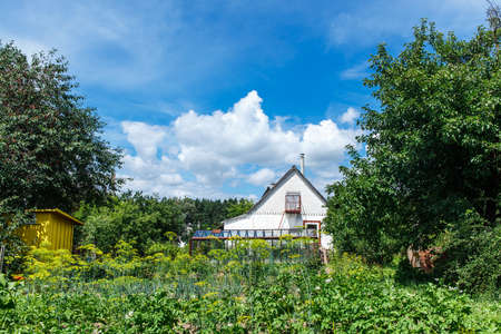 House with a garden in a villageの写真素材