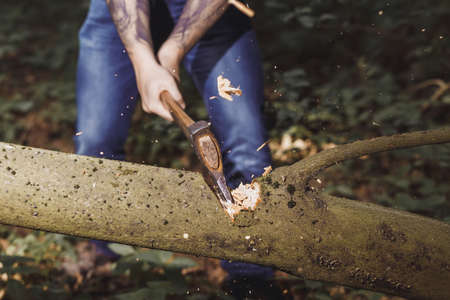 lumberjack hacking by axe the tree in forestの写真素材