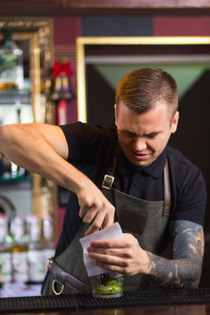 The bartender making cocktail Mojito in a nightclub bar
