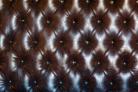 Luxury texture of beown leather furniture decorated