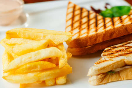 Sandwiches with tuna and salad served with fries and garlic sauceの写真素材