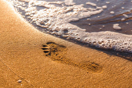 Beach, wave and footsteps at sunset time on the Black Seaの写真素材