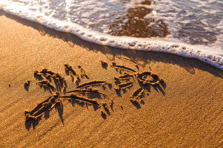 Image of palm tree and sun beams drawing on sand. Sandy background.の写真素材