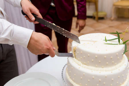 Bride and Groom at Wedding Reception Cutting the Wedding Cakeの写真素材