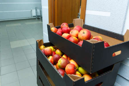 Ripe red apples in cardboard boxes. Apples are very useful because they contain lots of vitamins.の写真素材