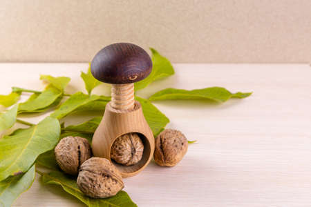 Whole walnuts on wooden table. Walnuts and wooden screw nutcracker. We like walnuts. Advertising on walnuts.の写真素材
