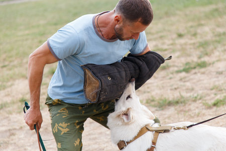 The instructor conducts the lesson with the white Swiss shepherd dog. The dog protects its master.