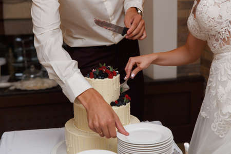 Bride and Groom at Wedding Reception Cutting the Wedding Cakeの写真素材