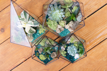 Florarium Glass vase with succulent plant. Miniature cactus on wooden background.