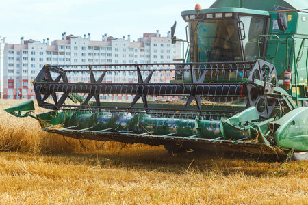 Grodno, Belarus - July 25, 2020: The combine harvests John Deere ripe wheat in the grain field near...