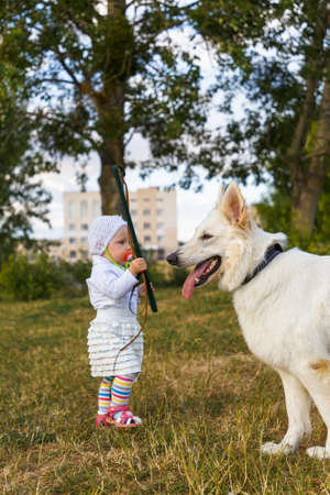 Young beautiful girl with a white Swiss shepherd playing on the lawn at the day timeの写真素材