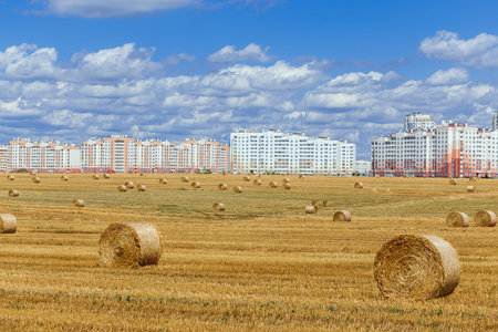View of a wide harvested field with big yellow straw bales on urban background.の写真素材