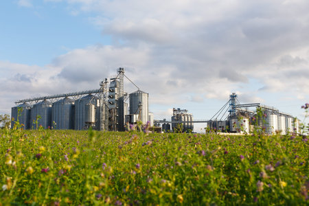 Modern Granary elevator and seed cleaning line. Silver silos on agro-processing and manufacturing...